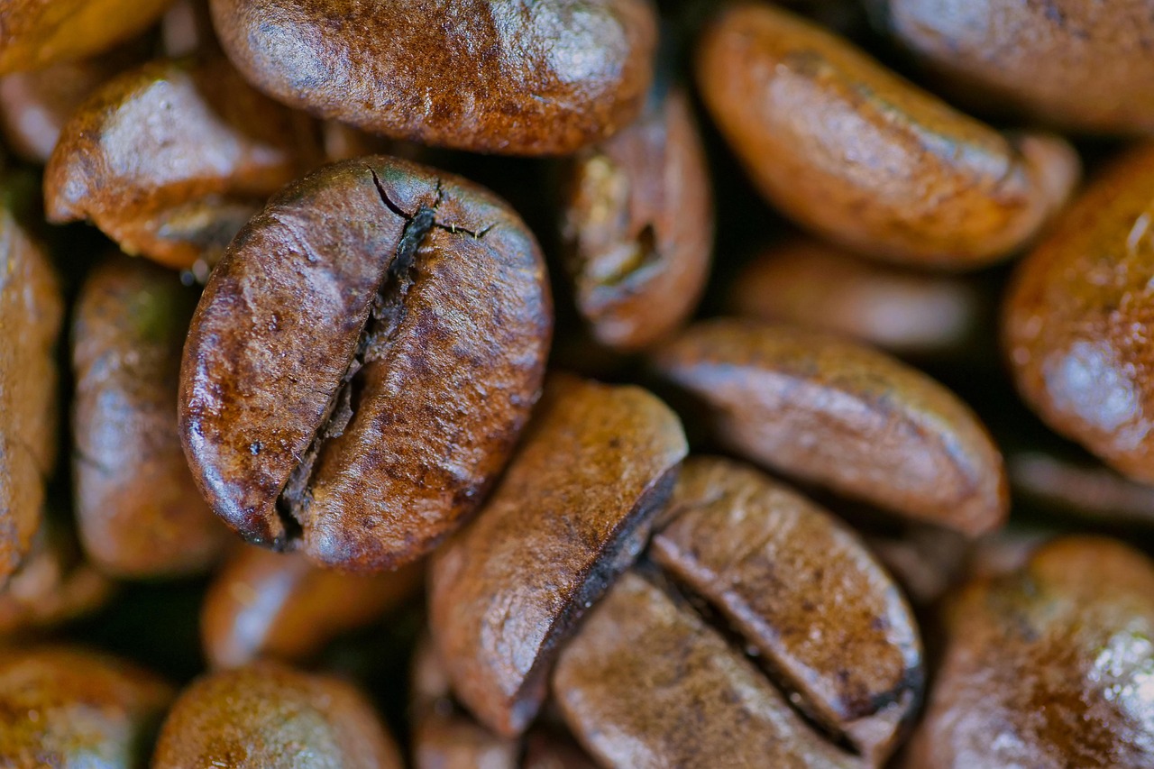 House filter & espresso beans