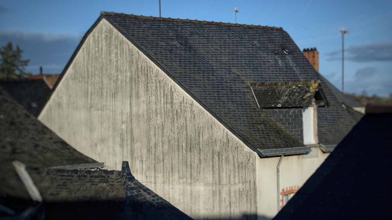 Natural slate roof tiles on a house roof.