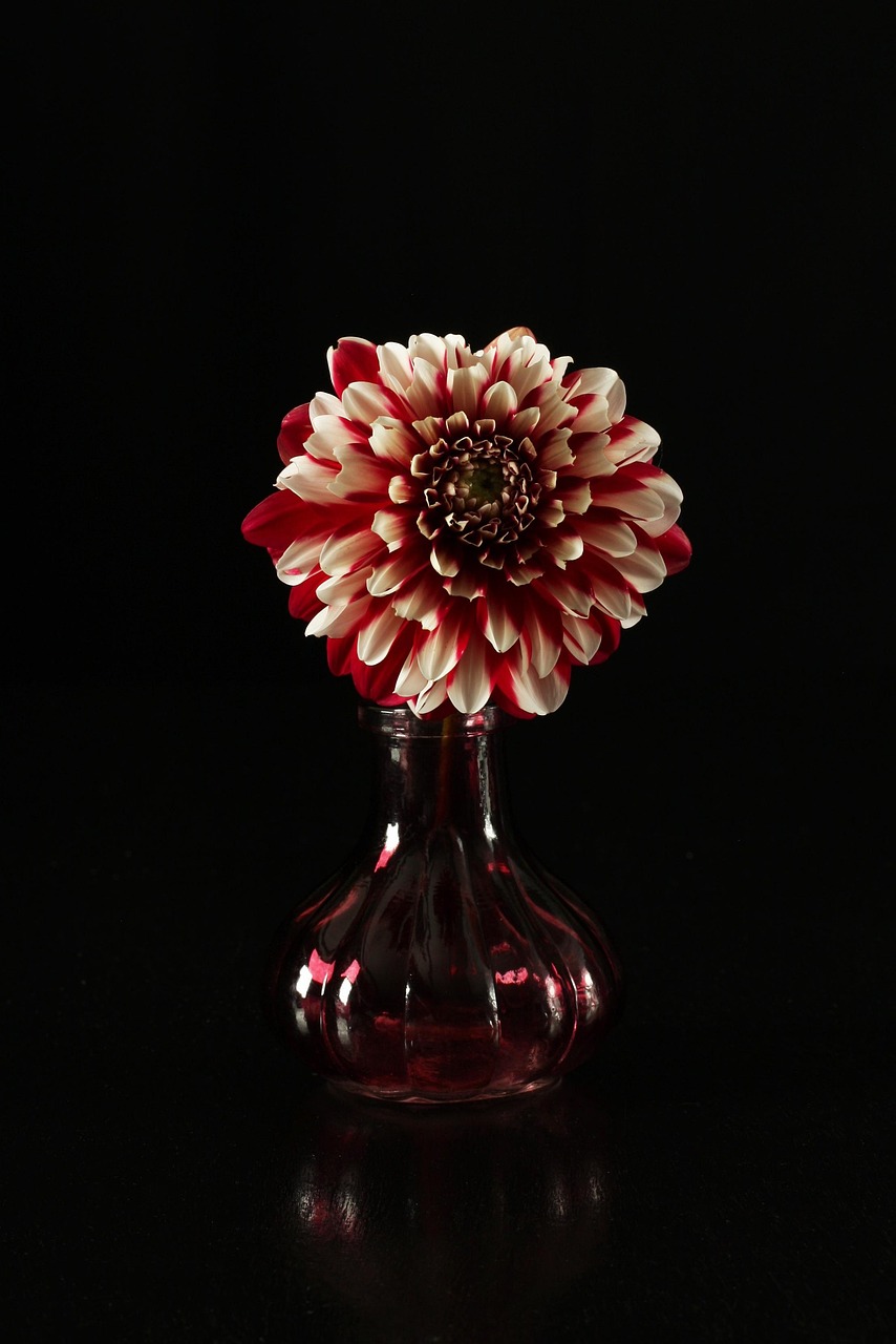 Low glass table vases